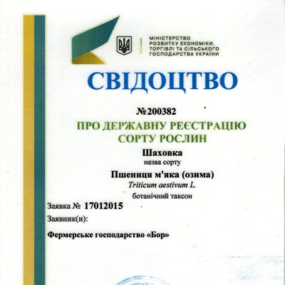 200382