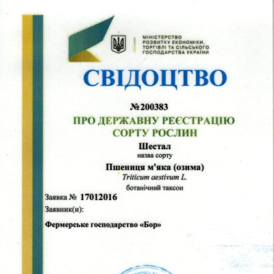 200383